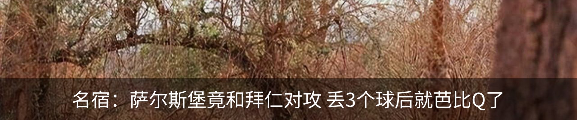 新闻中心